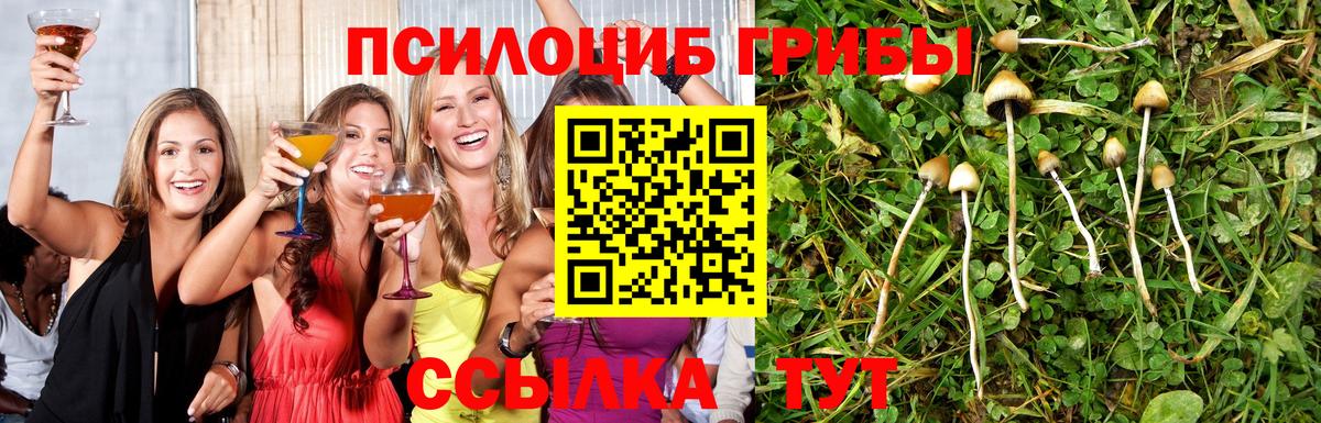 Псилоцибиновые грибы Cubensis  Вход с VPN  Кстово 